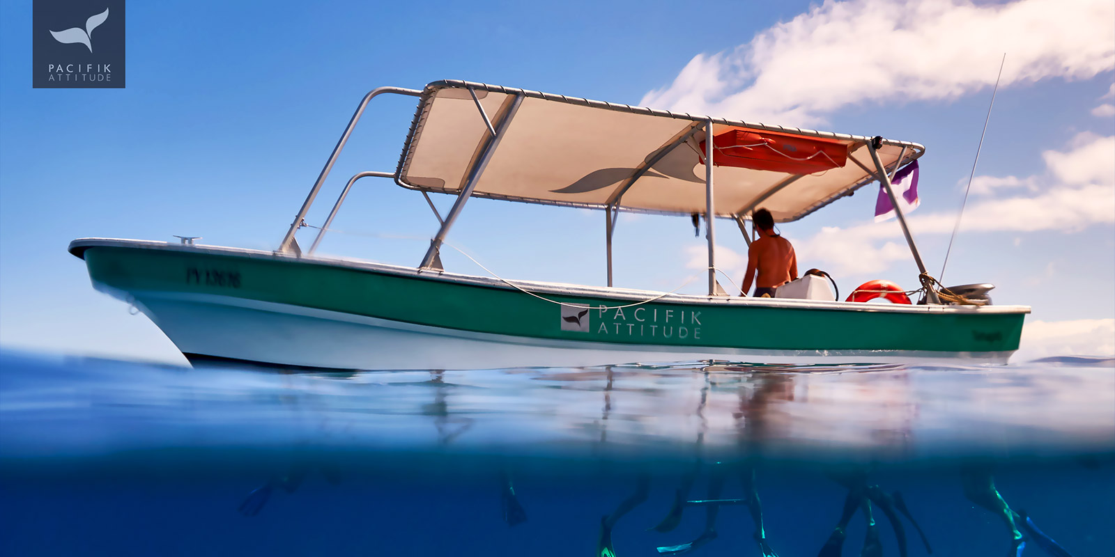 Moorea, dauphins